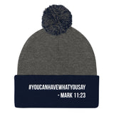 Pom Pom Knit Cap