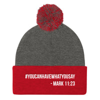 Pom Pom Knit Cap