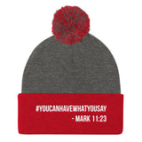 Pom Pom Knit Cap