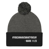 Pom Pom Knit Cap