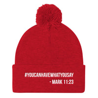 Pom Pom Knit Cap