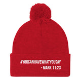 Pom Pom Knit Cap